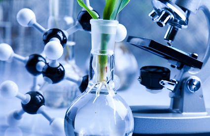Microbiologia