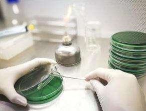 Microbiologia